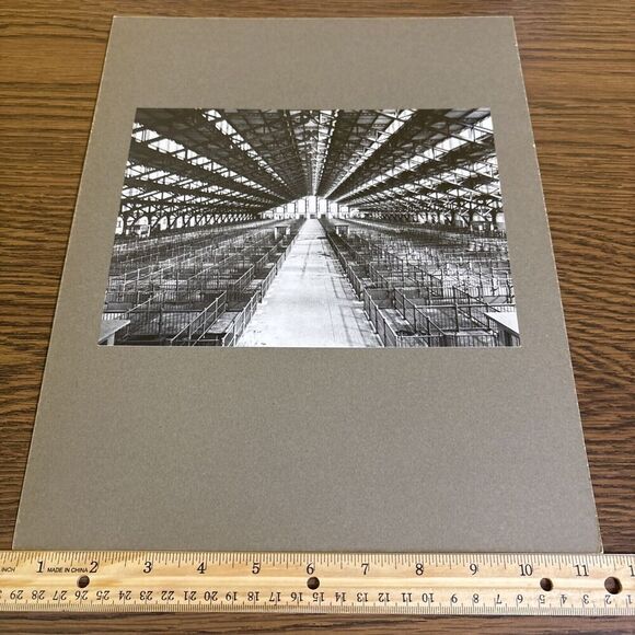 Vintage Slaughter House Lyons Mounted French Architecture Photo Tony Garnier - Picture 1 of 4
